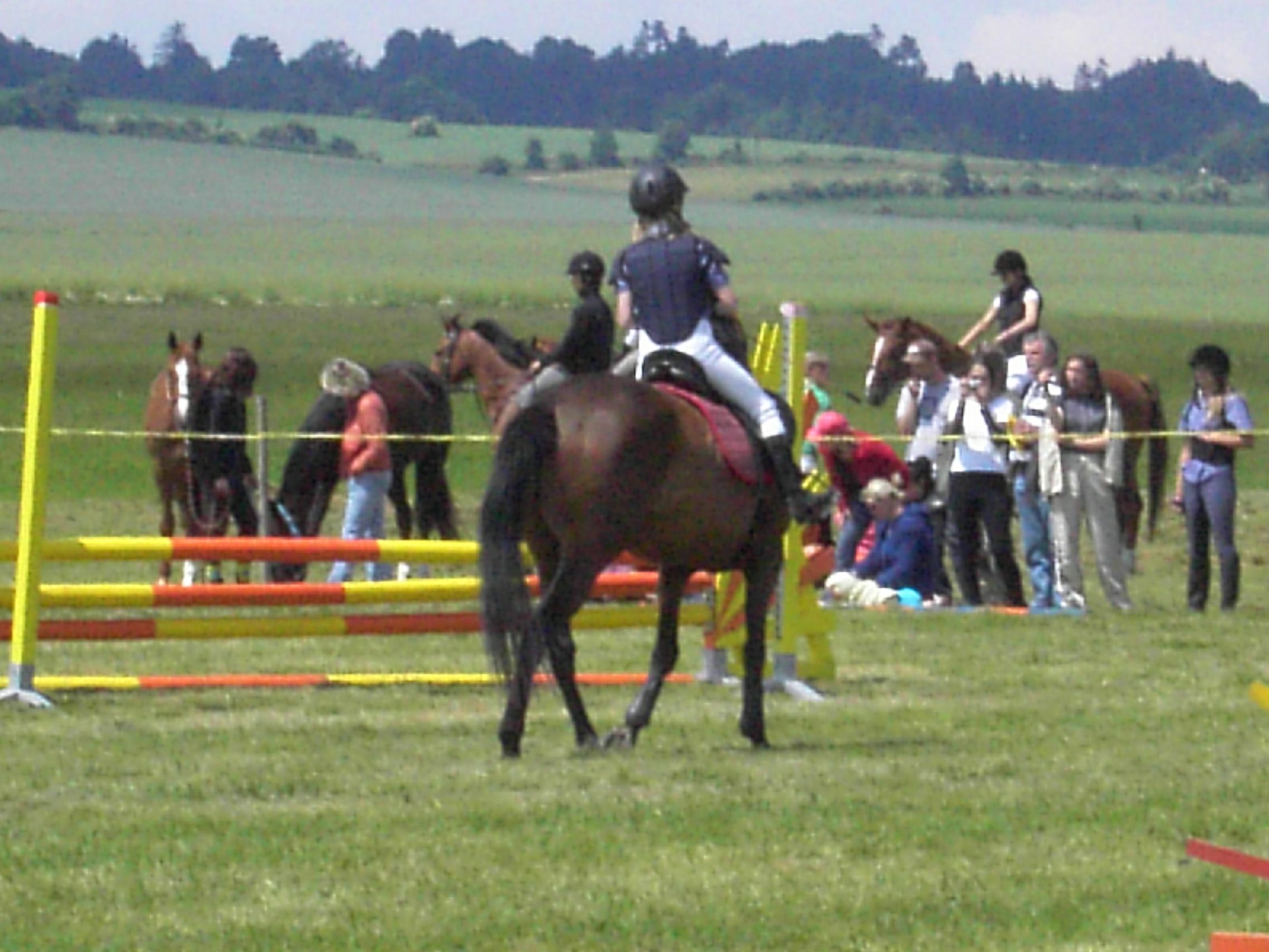 PICT2954.JPG