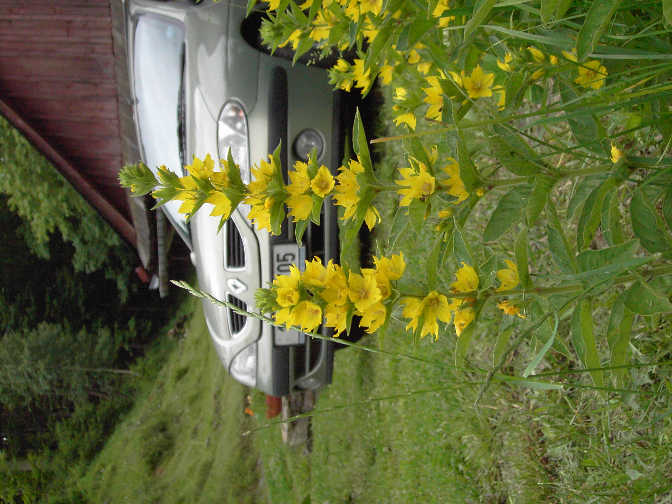 PICT3401.JPG