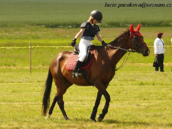 VT 14.6.2008.jpg- zdravení.jpg